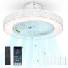 Ceiling fan light with remote control and APP control